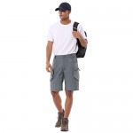 BALEAF Men's 10 Hiking Cargo Shorts Lightweight Quick Dry Golf Outdoor Active Sport Short Zipper Pockets
