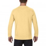 Comfort Colors Men's Adult Crewneck Sweatshirt