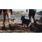 Danner Men's Trail 2650 3 Suede Hiking Shoe