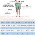 BALEAF 10 Golf Stretch Shorts for Men Flat Front Active Waistband Quick Dry Lightweight Casual Shorts with Zipper Pockets
